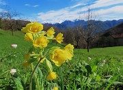 In Canto Alto da Cler di Sedrina-2apr24  - FOTOGALLERY